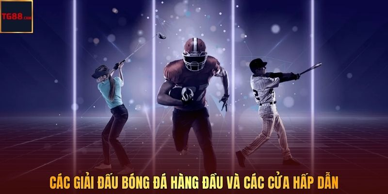 Cá Cược Thể Thao CR – Điểm Hẹn Xanh Chín Nhất Tại TG88 3 Các giải đấu bóng đá hàng đầu và các cửa hấp dẫn