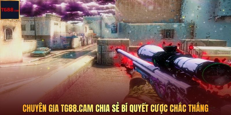 Chuyên gia TG88.cam chia sẻ bí quyết cược chắc thắng
