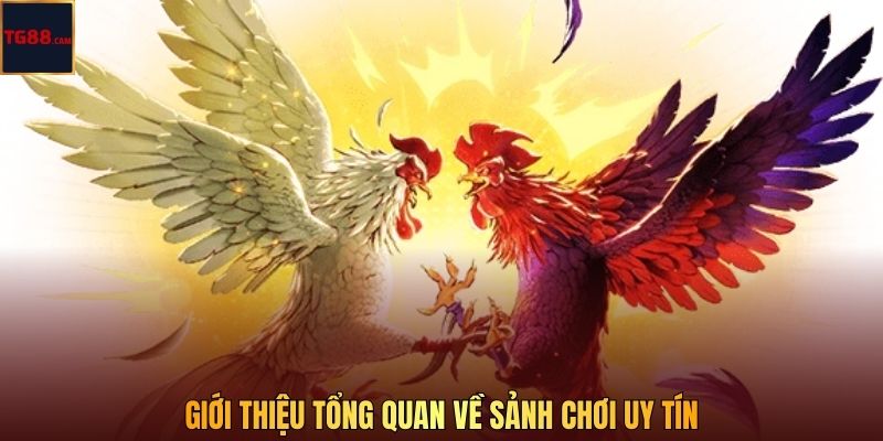 Giới thiệu tổng quan về sảnh chơi uy tín