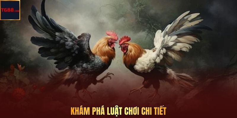 Khám phá luật chơi chi tiết