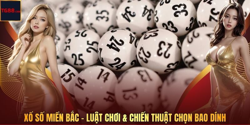 Xổ Số Miền Bắc - Luật Chơi & Chiến Thuật Chọn Bao Dính