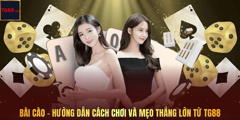 Bài Cào - Hướng Dẫn Cách Chơi Và Mẹo Thắng Lớn Từ TG88 1 Bài Cào - Hướng Dẫn Cách Chơi Và Mẹo Thắng Lớn Từ TG88