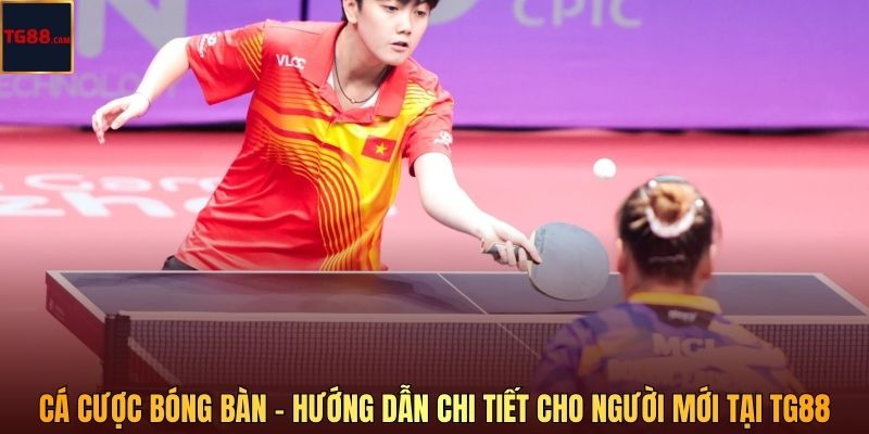 Cá Cược Bóng Bàn - Hướng Dẫn Chi Tiết Cho Người Mới Tại TG88