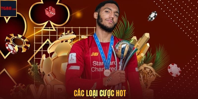 Kèo Phạt Góc - Hình Thức Cược Với Cơ Hội Thắng Lớn Tại TG88 3 Các loại cược hot