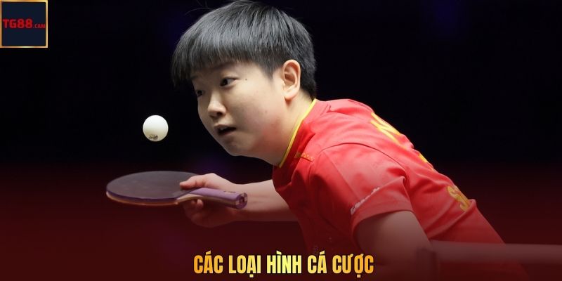 Các loại hình cá cược