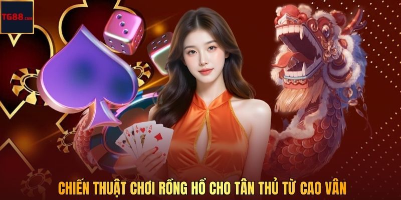 Chiến Thuật Chơi Rồng Hổ Hiệu Quả Cho Người Mới Tại TG88 CAM 4 Chiến thuật chơi rồng hổ cho tân thủ từ Cao Vân