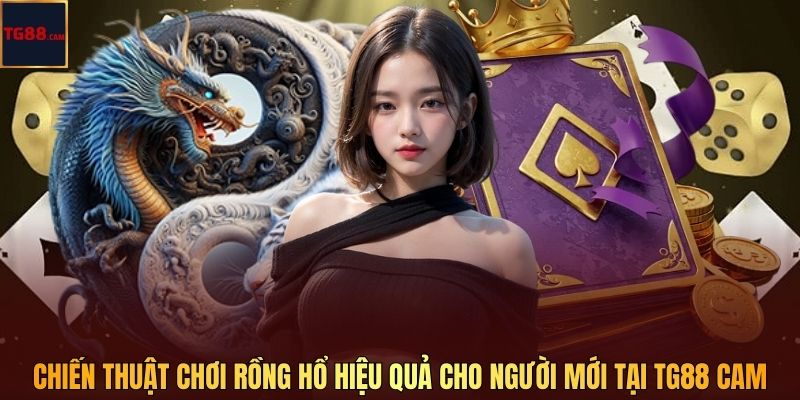 Chiến Thuật Chơi Rồng Hổ Hiệu Quả Cho Người Mới Tại TG88 CAM 1 Chiến Thuật Chơi Rồng Hổ Hiệu Quả Cho Người Mới Tại TG88 CAM