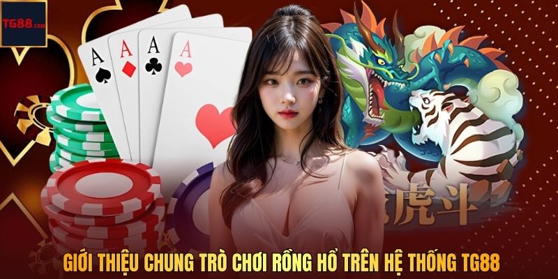 Chiến Thuật Chơi Rồng Hổ Hiệu Quả Cho Người Mới Tại TG88 CAM 2 Giới thiệu chung trò chơi Rồng Hổ trên hệ thống TG88