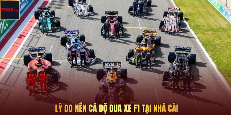 Đua Xe F1 - Trải Nghiệm Cá Cược Đầy Kịch Tính Tại TG88 4 Lý do nên cá độ đua xe F1 tại nhà cái