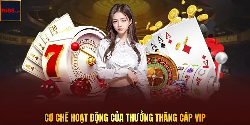 Thưởng thăng cấp VIP TG88 nhận ưu đãi khi nâng hạng 2 Cơ chế hoạt động của thưởng thăng cấp VIP