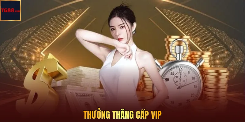 Thưởng thăng cấp VIP TG88 nhận ưu đãi khi nâng hạng 1 Thưởng thăng cấp VIP TG88 nhận ưu đãi khi nâng hạng