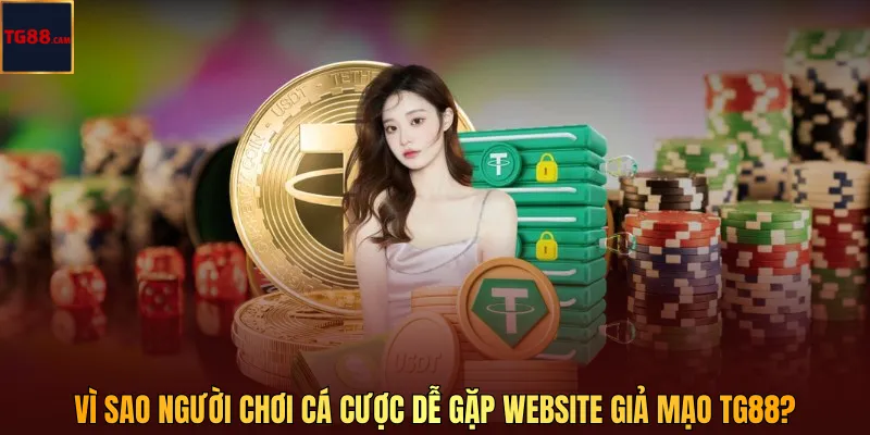 Vì sao người chơi cá cược dễ gặp website giả mạo TG88?